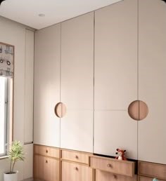Cupboard Shutters